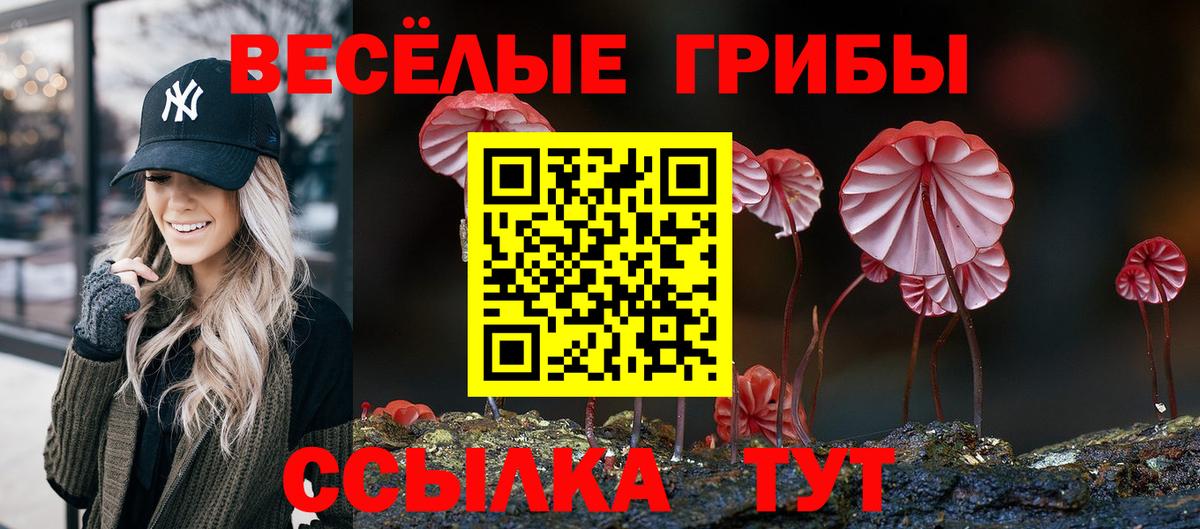 Новороссийск  Псилоцибиновые грибы мухоморы  Вход с VPN 