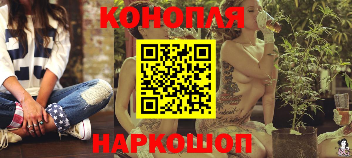 Шишки марихуана планчик Новороссийск